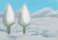 雪原